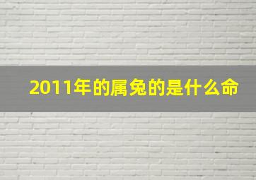 2011年的属兔的是什么命