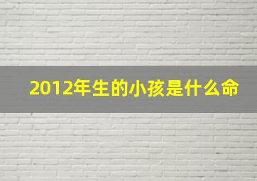 2012年生的小孩是什么命