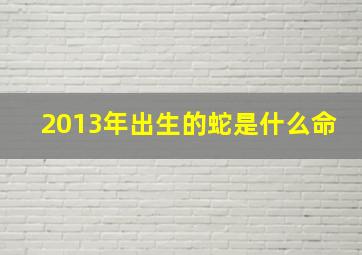 2013年出生的蛇是什么命