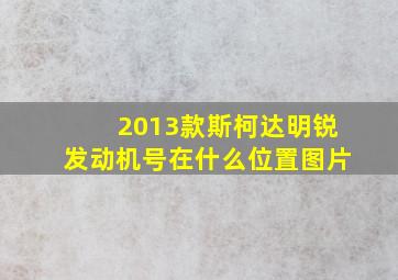 2013款斯柯达明锐发动机号在什么位置图片