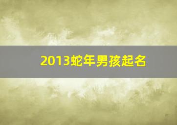 2013蛇年男孩起名