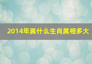 2014年属什么生肖属相多大