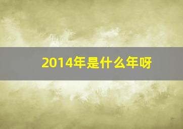 2014年是什么年呀