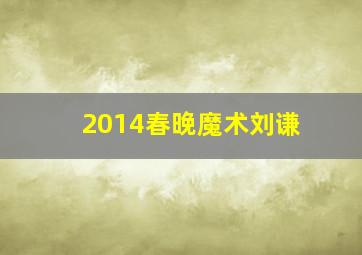 2014春晚魔术刘谦