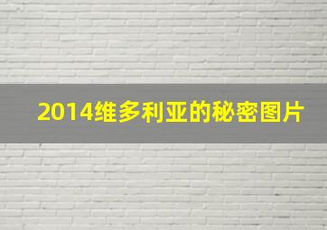 2014维多利亚的秘密图片