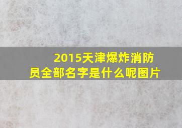 2015天津爆炸消防员全部名字是什么呢图片