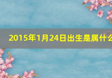 2015年1月24日出生是属什么