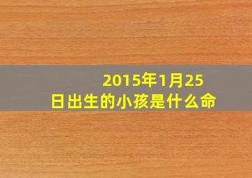 2015年1月25日出生的小孩是什么命