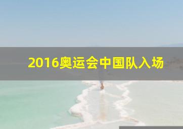 2016奥运会中国队入场