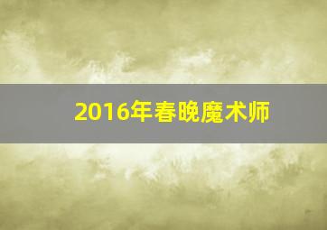 2016年春晚魔术师