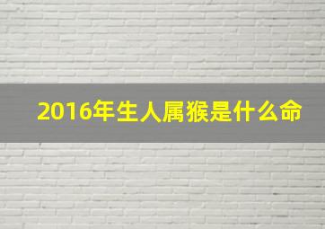 2016年生人属猴是什么命