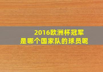 2016欧洲杯冠军是哪个国家队的球员呢