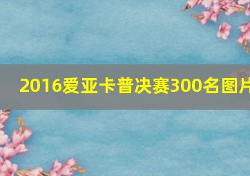 2016爱亚卡普决赛300名图片