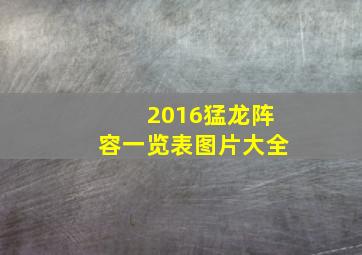 2016猛龙阵容一览表图片大全