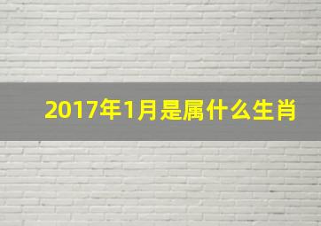 2017年1月是属什么生肖