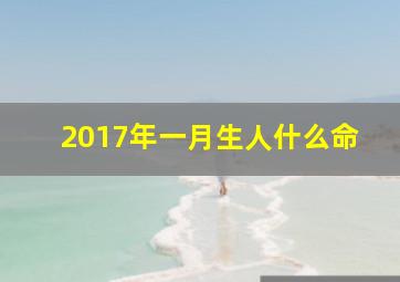 2017年一月生人什么命