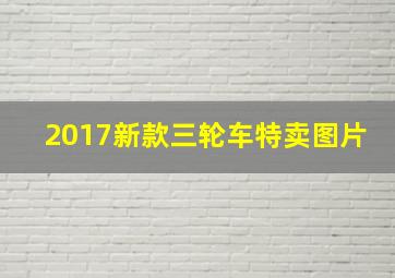 2017新款三轮车特卖图片