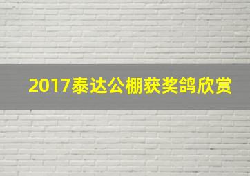 2017泰达公棚获奖鸽欣赏