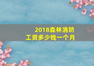 2018森林消防工资多少钱一个月