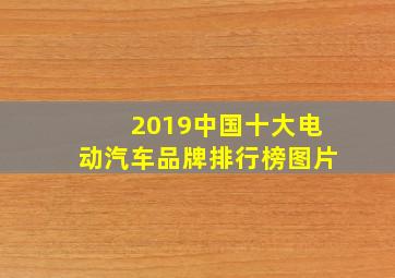 2019中国十大电动汽车品牌排行榜图片