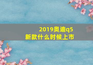 2019奥迪q5新款什么时候上市