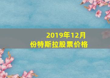 2019年12月份特斯拉股票价格