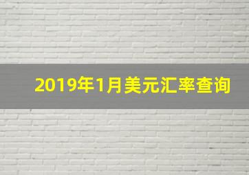 2019年1月美元汇率查询