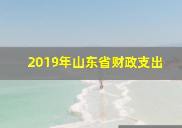 2019年山东省财政支出