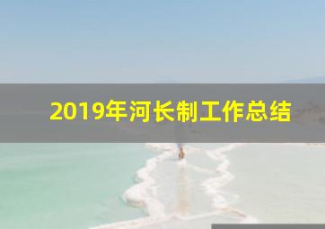 2019年河长制工作总结