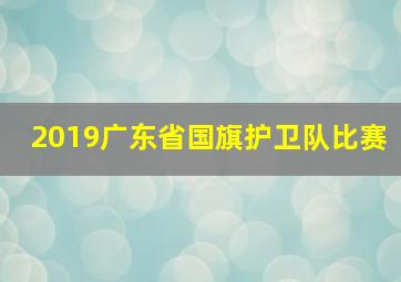 2019广东省国旗护卫队比赛