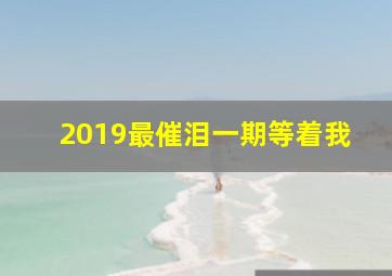 2019最催泪一期等着我