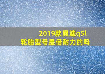 2019款奥迪q5l轮胎型号是倍耐力的吗