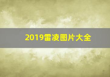 2019雷凌图片大全