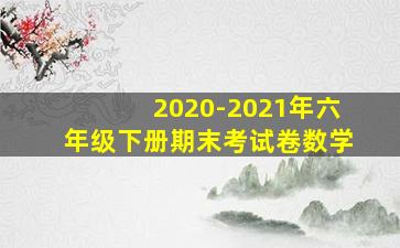 2020-2021年六年级下册期末考试卷数学