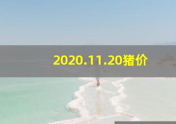 2020.11.20猪价