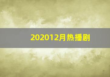 202012月热播剧