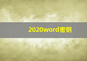 2020word密钥