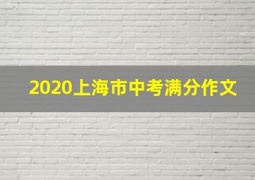 2020上海市中考满分作文