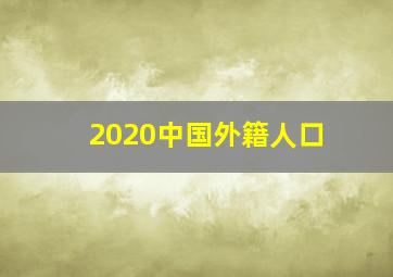 2020中国外籍人口