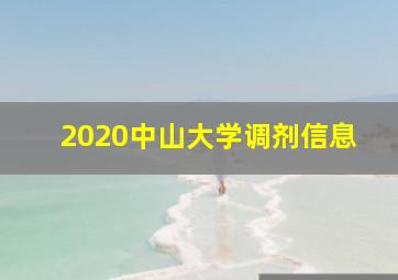 2020中山大学调剂信息