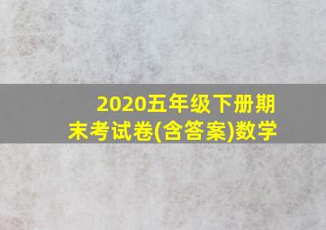 2020五年级下册期末考试卷(含答案)数学