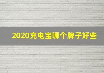 2020充电宝哪个牌子好些