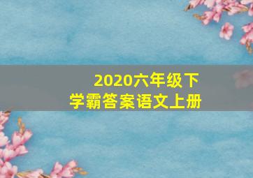 2020六年级下学霸答案语文上册