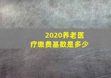 2020养老医疗缴费基数是多少