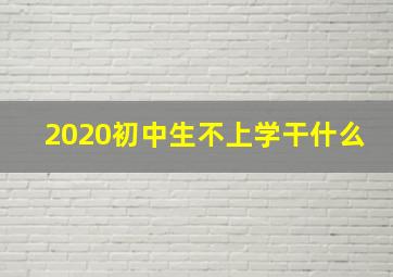 2020初中生不上学干什么