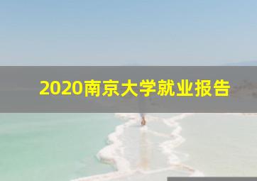 2020南京大学就业报告