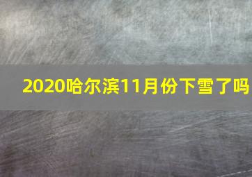 2020哈尔滨11月份下雪了吗