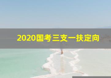 2020国考三支一扶定向