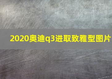 2020奥迪q3进取致雅型图片