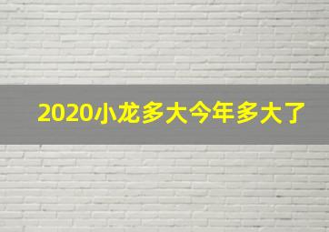 2020小龙多大今年多大了